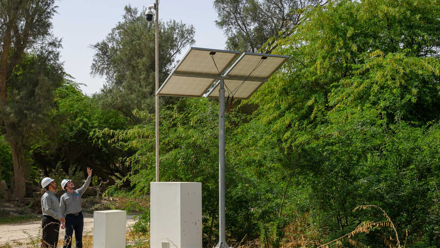 Solar powered cameras monitor wildlife movements -- Abqaiq