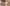 Philby’s partridge